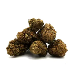 Pineapple Express — fleur de CBD indoor — vue 3 sur 8
